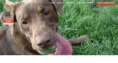 Desktop Screenshot of animalinnwellness.com