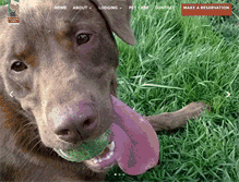 Tablet Screenshot of animalinnwellness.com